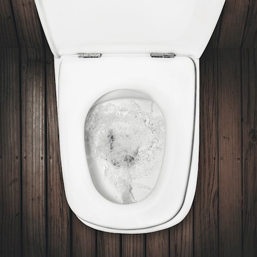 How to fix a toilet that won't flush Plunger